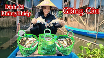 "Cuộc Sống Miền Tây"Giăng Câu Dính Cá MỖI LƯỞI MỖI CON Quá Khủng Khiếp - Lộc Cá Lăng Tập 38 .