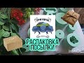 Распаковка посылки "Три кита " силиконовые формы, букетная зелень, отдушки для мыла, силикон. soap