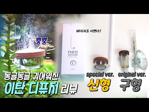 이렇게 예쁜 이산화탄소 방울 본 적 있으신가요? Co2 확산기 &rsquo;네오 디퓨저 스페셜&rsquo; 리뷰