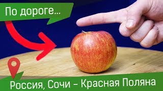 Как разломать яблоко пальцем или как разрезать пополам без ножа