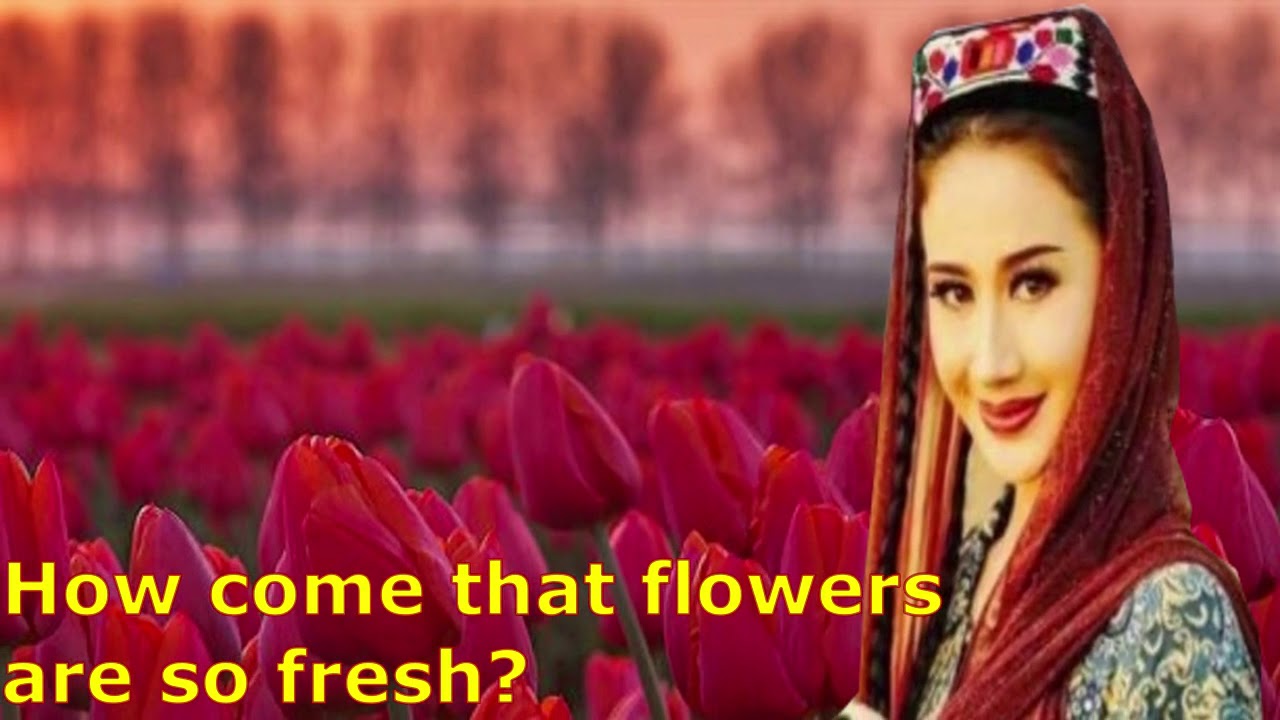 【Why Are The Flowers So Red 】  By Sofia Källgren  《花兒爲什麽這樣紅》