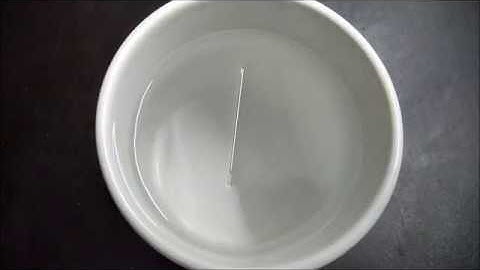 how to float a needle on water