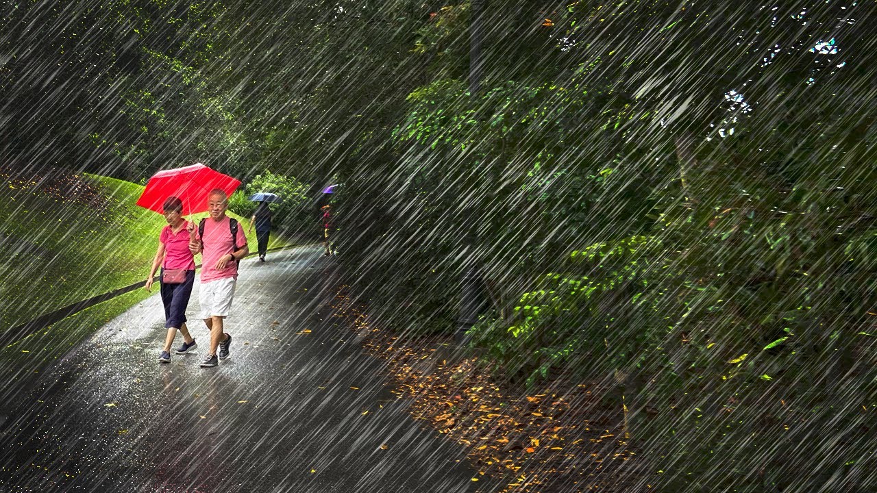1 Hour IMMENSE RAIN over Telok Blangah Hill Park via Depot Road in Nostalgic Singapore HDB Estate