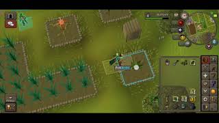Mobile UIM - Farm runs and Prayer Pots
