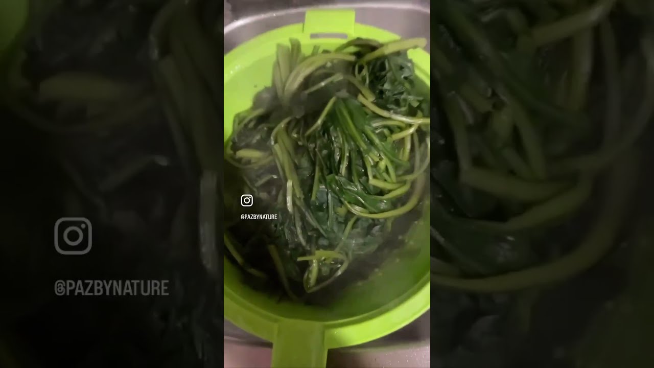 Discover Chicory Delicious Healthy Italian Vegetable 