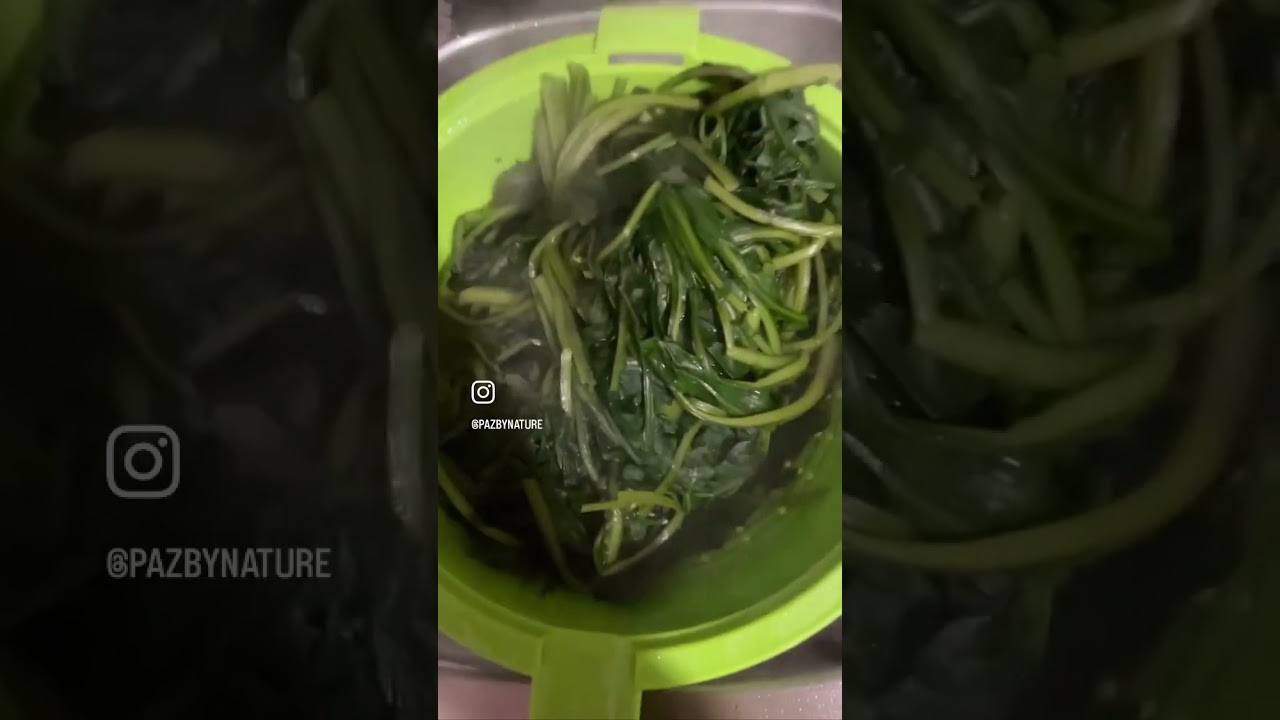 Discover Chicory: Delicious & Healthy Italian Vegetable 🌿🇮🇹