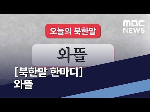 [북한말 한마디] 와뜰 / MBC 통일전망대 (2019년 11월 16일)