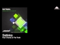 Satinka - Four Chords & The Truth (Guitar Mix)