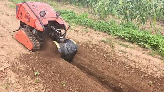 Tracked Mini Trencher Working in Dry Farmland #BrivamotiveLawnmower