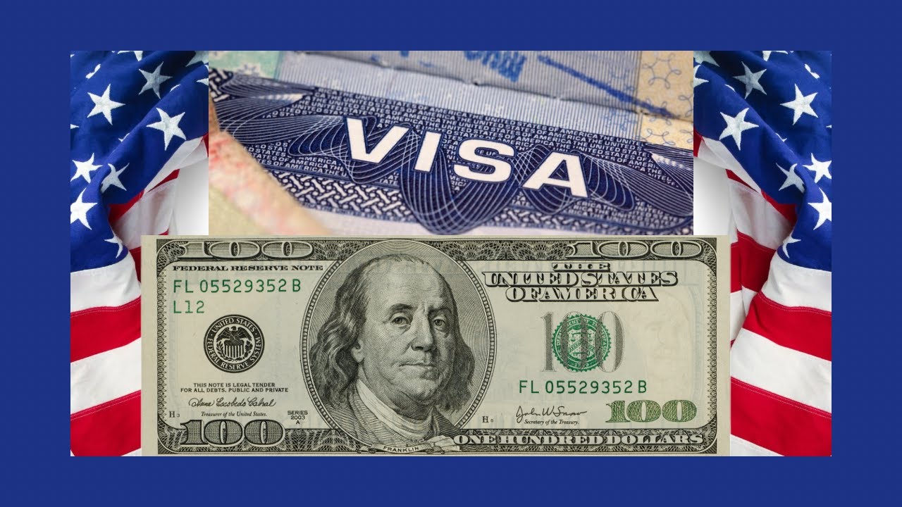 How To Schedule US VISA APPOINTMENT And PAY Visa Application FEES how-to-schedule-us-visa-appointment-and-pay-visa-application-fees