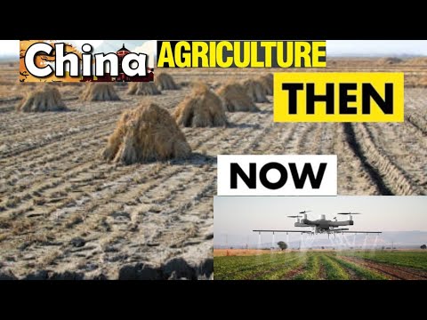 Ancient China to