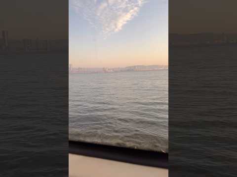 ما هذا في البعيد كوميديا مضحك بوجبوري رائج