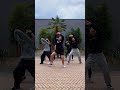 Busta rhymes  touch it  flawless dance group