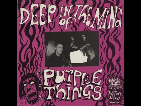 The Purple Things - Insect Bones & The Astronauts/Hurricane Fighter Plane