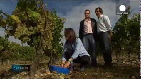 Premivm - FP7 Project (video in Portuguese)