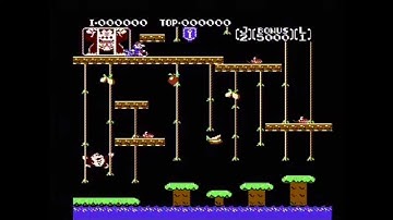 Donkey Kong Classics - Donkey Kong Jr. Playthrough (Actual NES Capture)