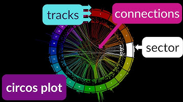 How to read a circos plot