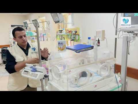 Agihan Susu Formula Bayi di Gaza | 15 Oktober 2025