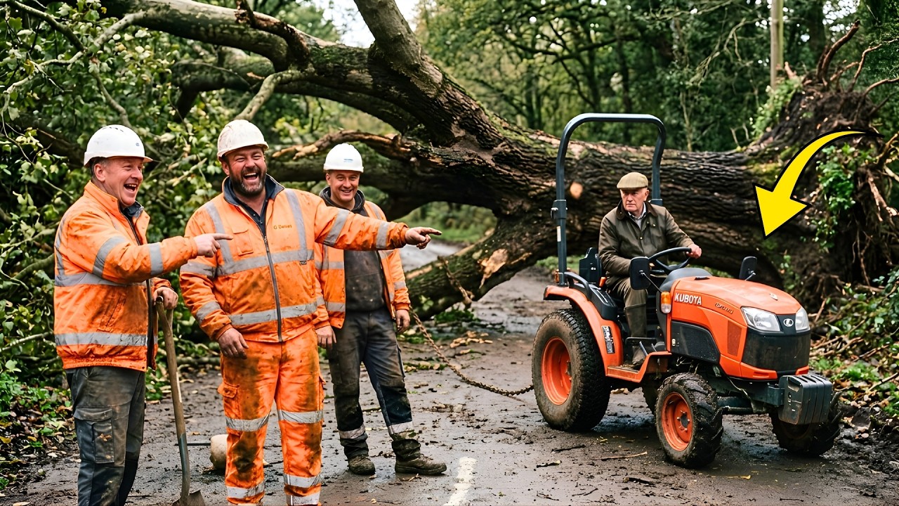 They Laughed When He Brought a Kubota B2650 for a Fallen Plane Tree ...