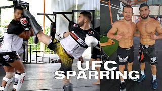 UFC Arman Tsarukyan MMA Sparring