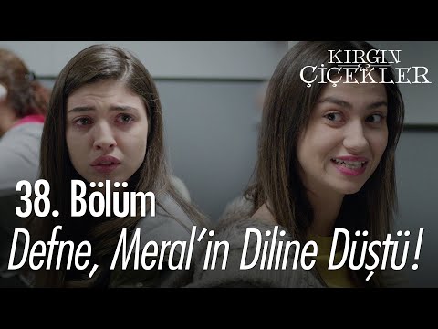 Defne ile Meral görüşte! - Kırgın Çiçekler 38. Bölüm