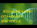 Qhps Yo reencarnaba en una bacteria(capitulo 1)