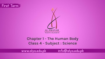 Chapter 01 | The Human Body [Class 4 - Science]
