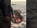 Bonfire On The Beach Bonfire At The Beach Beautiful Shorts Shortvideo 