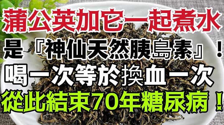 蒲公英加它一起煮水喝，堪稱是『神仙天然胰島素』！喝一次等於換血一次，血糖立馬往下降，從此結束了70年的糖尿病！ ！ ！ - 天天要聞