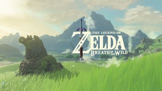 ZELDA BREATH OF THE WILD - Eu Joguei MUITO! (Zelda Wii U Gameplay)