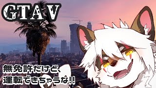 【グランド・セフト・オートV】　#1