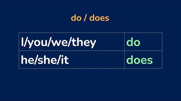 Class 4 English | Unit 15 | Lessons 4-5 | Wh-words and do/does