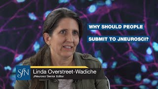 The editorial board are still active researchers | #JNeurosci