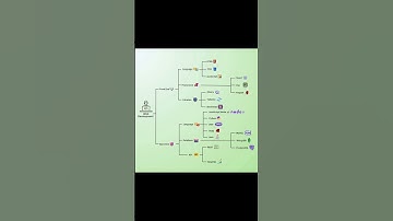 2025 Web Dev Roadmap (Beginner to Pro) 🧠💻