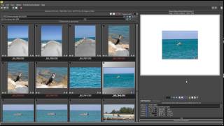 Qimage Ultimate - Adding Prints via Drag-to-Size Profile