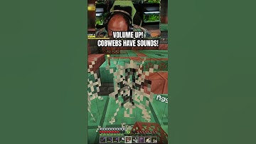Cobwebs have SOUND NOW! #minecraftmemes #Clips #minecraft #shorts #reels #SMP #fyp