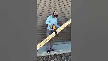 Dewalt Flexvolt reciprocating saw hook