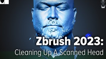 1  Cleaning A Scanned Head Mesh