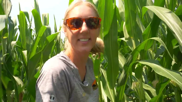 Digging Corn Roots, PGRs, and Managing Stress for Higher Yields | Shelby Fite and Gunther Kreps P.2