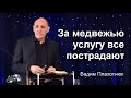 Вадим Плахотнюк За медвежью услугу все пострадают