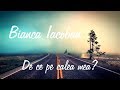 Bianca Iacoban- De ce pe calea mea // cover