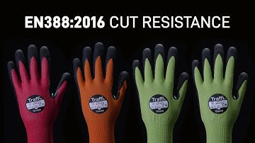 Traffi: Introducing LXT Range