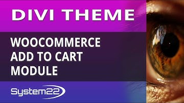 Divi Theme WooCommerce Add To Cart Module