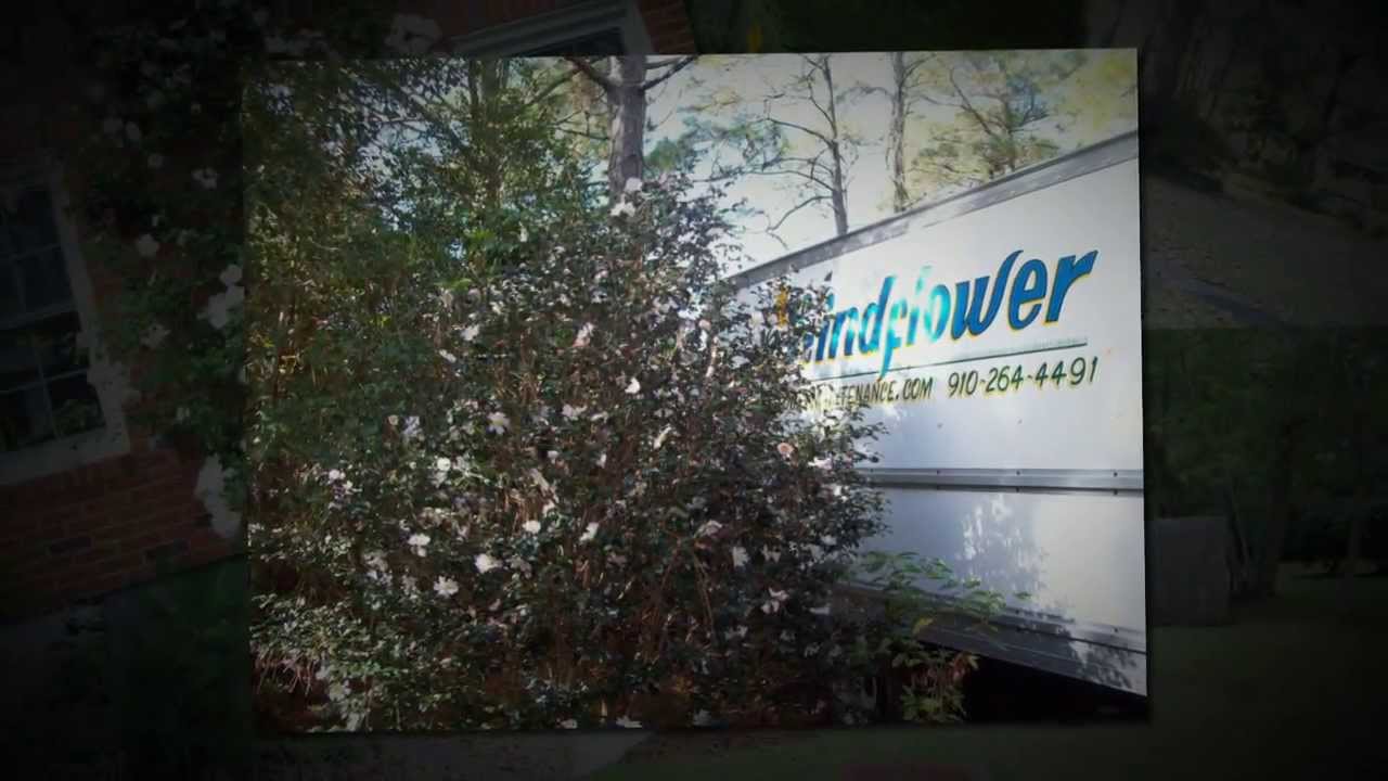 Professional Lawn Maintenance Wilmington NC 2644491 Windflower Maintenance YouTube