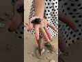 Picking up Seashells at the Seashore in Chumphon, Thailand