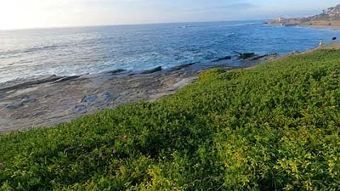 A La Jolla Murder Solved After A Killers Remorsefu...