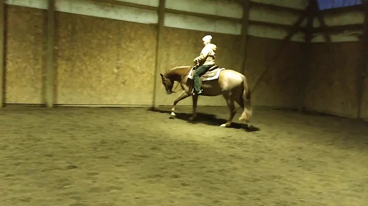Good to Know 3 yr old CR GoodMachine gelding