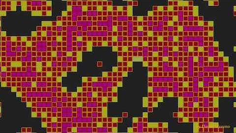 Cellular Automaton Finite Forest Test 3: Internal States