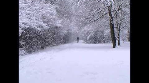 Intex Systems - Echoes