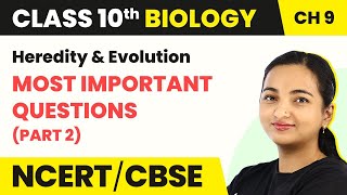Term 2 Exam Class 10 Biology Chapter 9 | Heredity & Evolution - Most Important Questions (Part 2)